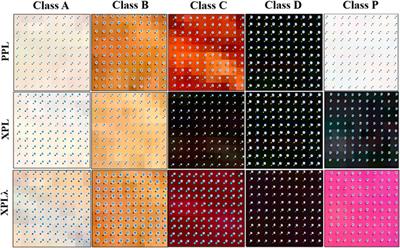 Brightness Values-Based Discriminant Functions for Classification of Degrees of Organic Matter Decomposition in Soil Thin Sections